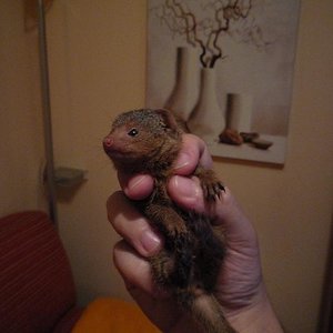 Copia de P1000949.JPG