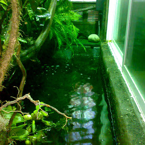 parte acuatica 2.jpg