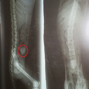 PB251414 - copia.JPG