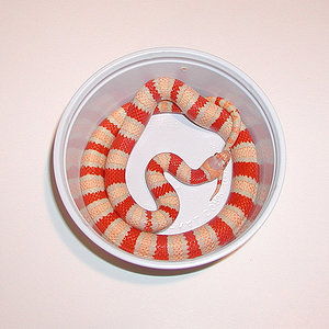 coral albino pastel.jpg