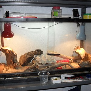 Copia de SDC10097.JPG