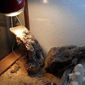 Copia de SDC10098.JPG