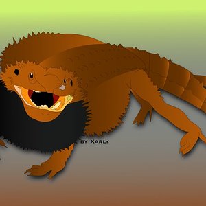Bearded Dragon Draw.jpg