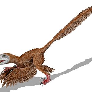 761px-deinonychus_bw.jpg