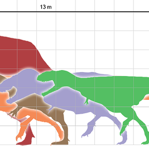 800px-Largesttheropods.png