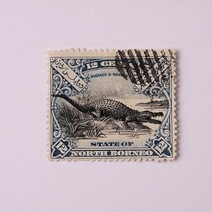 timbres de cocodrilos 001.jpg