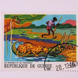 timbres de cocodrilos 002.jpg
