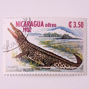timbres de cocodrilos 004.jpg