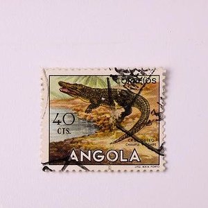 timbres de cocodrilos 007.jpg