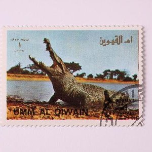 timbres de cocodrilos 008.jpg