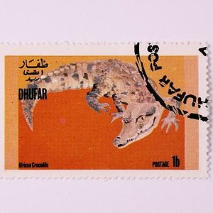 timbres de cocodrilos 016.jpg