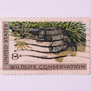 timbres de cocodrilos 019.jpg