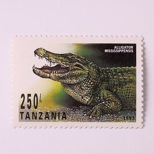 timbres de cocodrilos 020.jpg