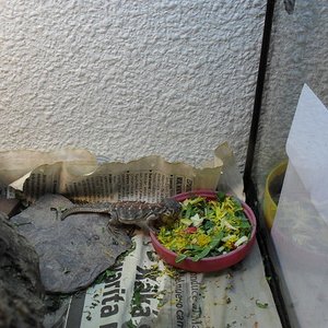 oce_oct09 (640x480)COP.jpg