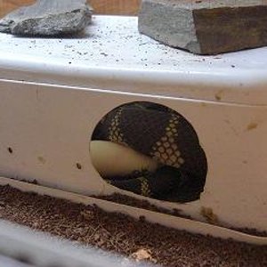 puesta primeras horas.jpg