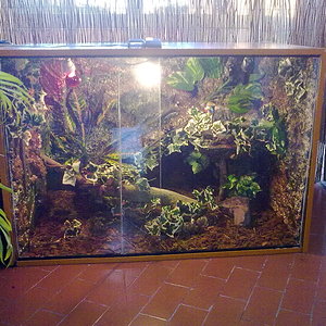 cobras 22-04 011.jpg