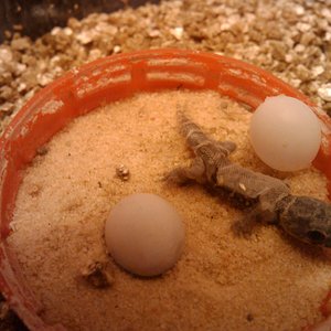 2010-04-28 20.39.51.jpg