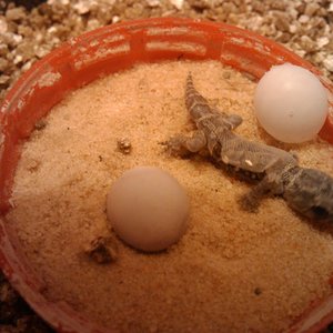 2010-04-28 20.40.09.jpg