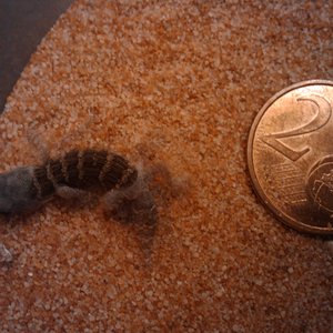 2010-04-28 22.05.39.jpg