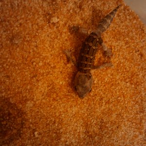 2010-04-28 22.18.02.jpg