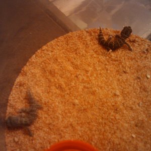 2010-04-29 19.51.11.jpg