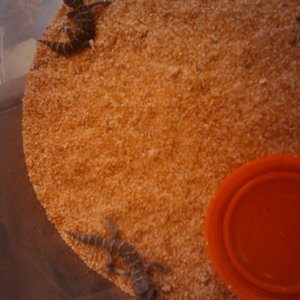 2010-04-29 19.50.59.jpg