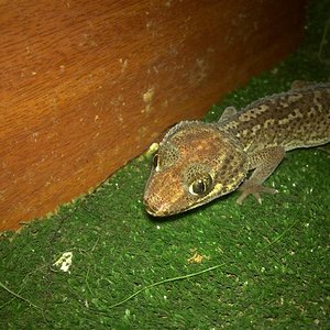 07052010023 (Medium).jpg