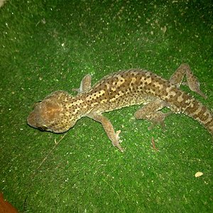 07052010024 (Medium).jpg