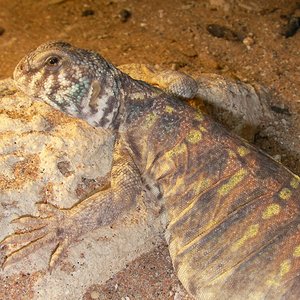 Copia de SANY0034.JPG