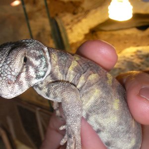 Copia de SANY0047.JPG