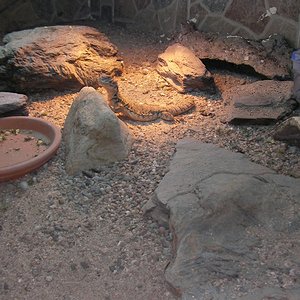 Copia de SANY0080.JPG