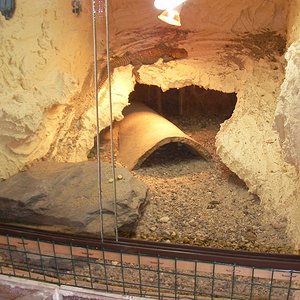 Copia de SANY0078.JPG