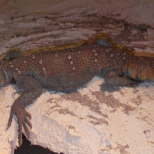 Copia de SANY0086.JPG