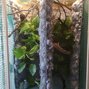 Copia de Imagen0018.jpg