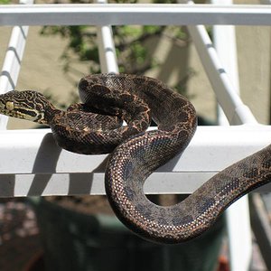 IMG_1086 (Medium).JPG