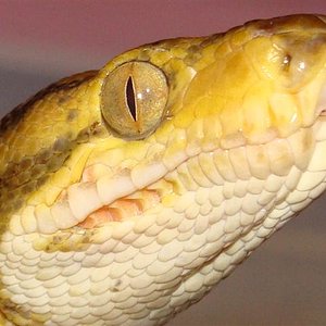 DSC01857 (Small).JPG