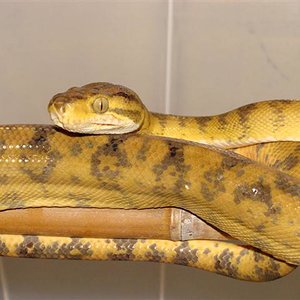 DSC01851 (Small).JPG