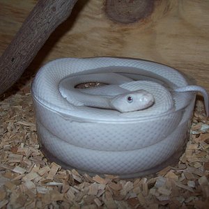 Copia de 100_4630.JPG