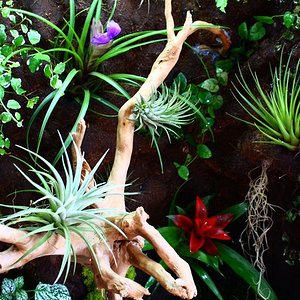 IMG_5960 [800x600].JPG