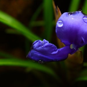 IMG_6014 [800x600].JPG