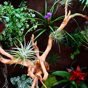 IMG_6016 [800x600].JPG