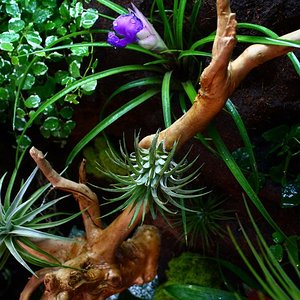 IMG_5982 [800x600].JPG