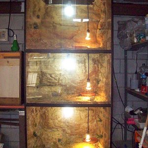 nueva bateria (1).jpg