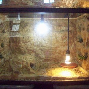 nueva bateria (2).jpg