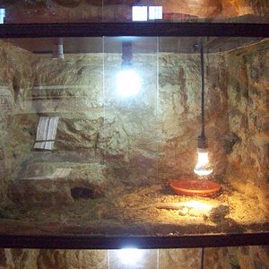 nueva bateria (3).jpg