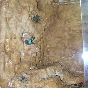 nueva bateria (4).jpg