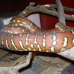 IMG_5459 (Medium).JPG