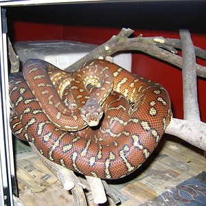 IMG_5462 (Medium).JPG