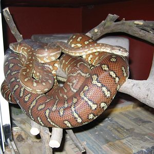 IMG_5465 (Medium).JPG