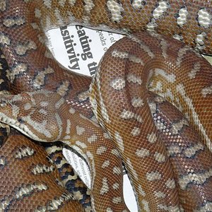 P1030275 (Small).JPG